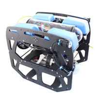 Blue Robotics Payload Skid